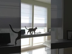 100% 폴리에스터 블랙아웃 롤러 블라인드