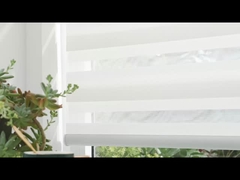 얼룩말은 구성을 가립니다